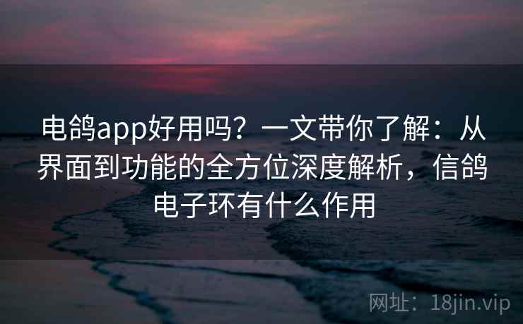 电鸽app好用吗？一文带你了解：从界面到功能的全方位深度解析，信鸽电子环有什么作用