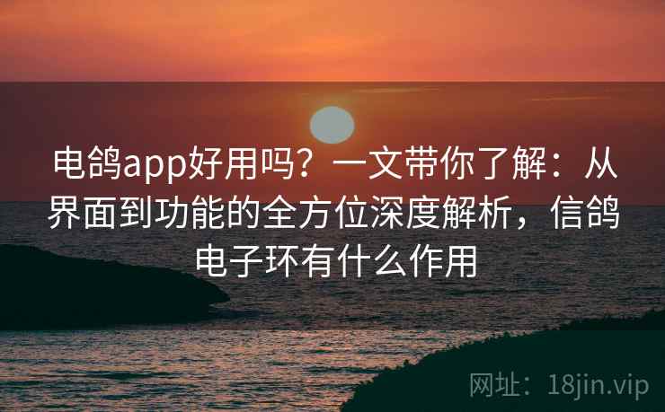 电鸽app好用吗?一文带你了解:从界面到功能的全方位深度解析,信鸽电子环有什么作用 电鸽app好用吗?一文带你了解:从界面到功能的全方位深度解析,信鸽电子环有什么作用