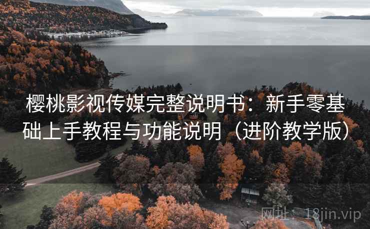 樱桃影视传媒完整说明书：新手零基础上手教程与功能说明（进阶教学版）
