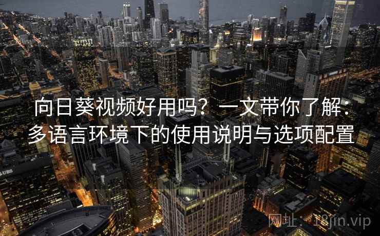 向日葵视频好用吗？一文带你了解：多语言环境下的使用说明与选项配置