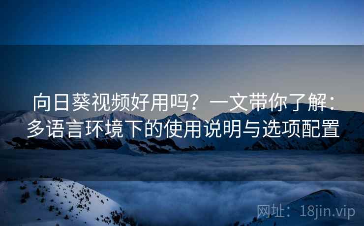 向日葵视频好用吗？一文带你了解：多语言环境下的使用说明与选项配置