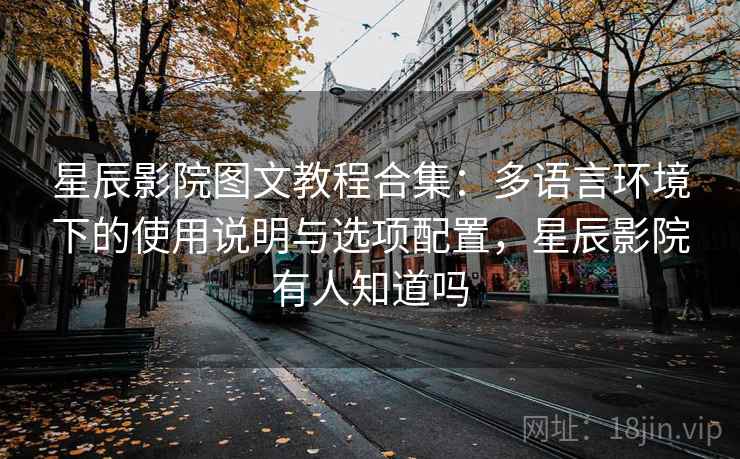 星辰影院图文教程合集：多语言环境下的使用说明与选项配置，星辰影院有人知道吗