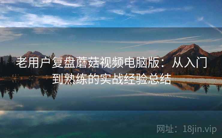 老用户复盘蘑菇视频电脑版：从入门到熟练的实战经验总结