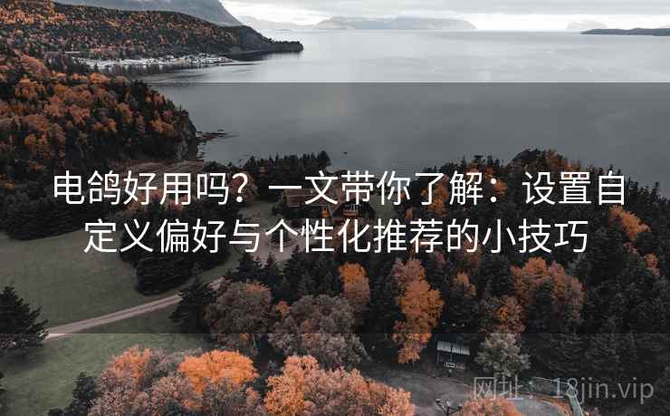 电鸽好用吗？一文带你了解：设置自定义偏好与个性化推荐的小技巧