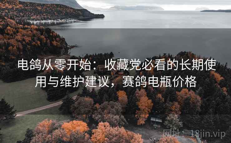 电鸽从零开始：收藏党必看的长期使用与维护建议，赛鸽电瓶价格