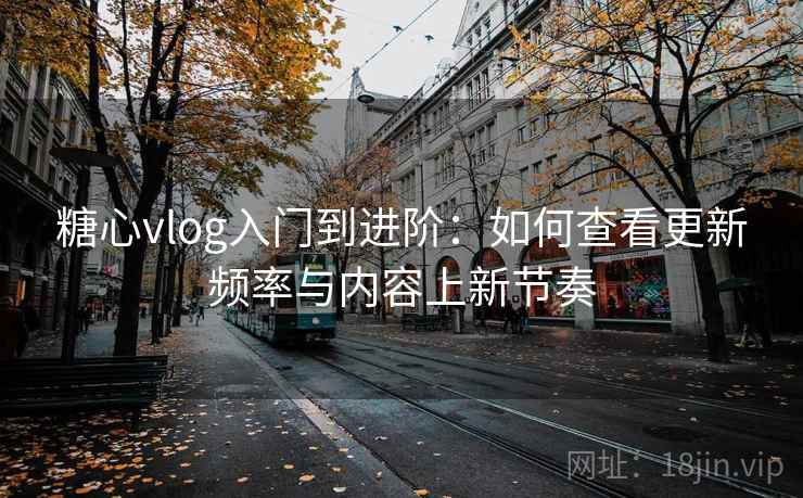 糖心vlog入门到进阶：如何查看更新频率与内容上新节奏