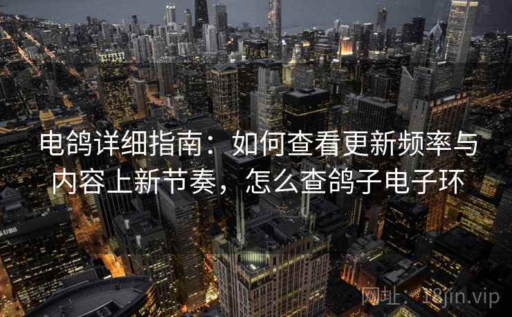 电鸽详细指南：如何查看更新频率与内容上新节奏，怎么查鸽子电子环
