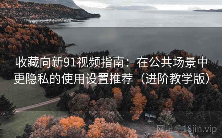 收藏向新91视频指南:在公共场景中更隐私的使用设置推荐(进阶教学版)