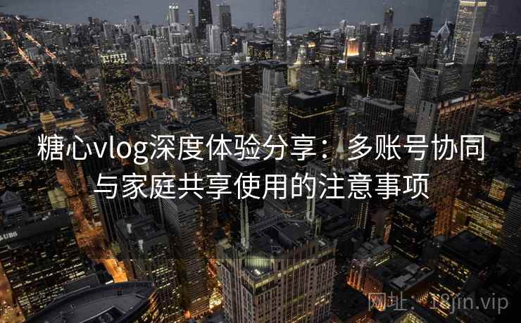 糖心vlog深度体验分享：多账号协同与家庭共享使用的注意事项