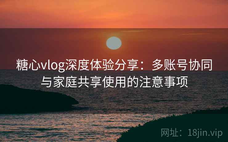 糖心vlog深度体验分享：多账号协同与家庭共享使用的注意事项