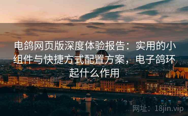 电鸽网页版深度体验报告：实用的小组件与快捷方式配置方案，电子鸽环起什么作用