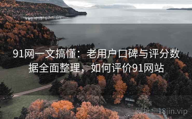 91网一文搞懂：老用户口碑与评分数据全面整理，如何评价91网站