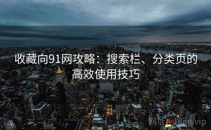 收藏向91网攻略：搜索栏、分类页的高效使用技巧