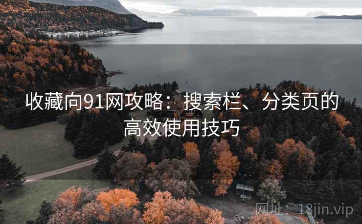 收藏向91网攻略:搜索栏、分类页的高效使用技巧 收藏向91网攻略:搜索栏、分类页的高效使用技巧