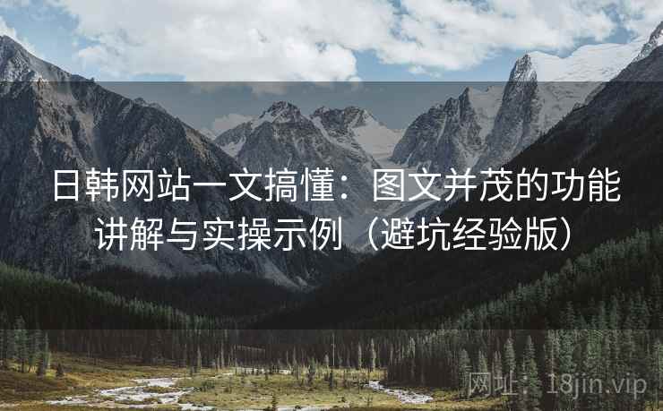 日韩网站一文搞懂：图文并茂的功能讲解与实操示例（避坑经验版）