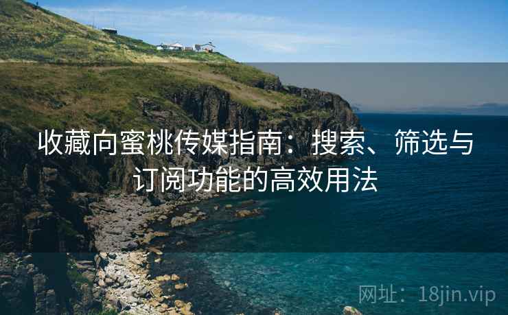 收藏向蜜桃传媒指南：搜索、筛选与订阅功能的高效用法