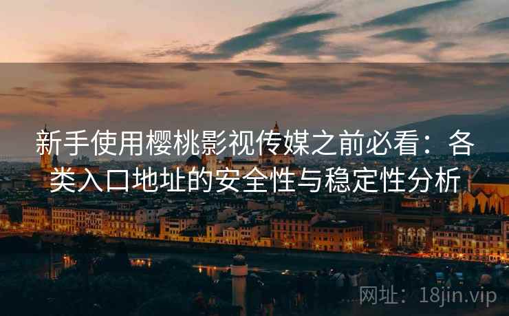 新手使用樱桃影视传媒之前必看：各类入口地址的安全性与稳定性分析