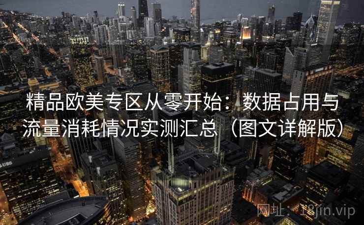 精品欧美专区从零开始：数据占用与流量消耗情况实测汇总（图文详解版）