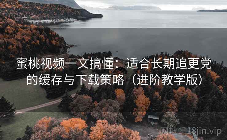 蜜桃视频一文搞懂：适合长期追更党的缓存与下载策略（进阶教学版）