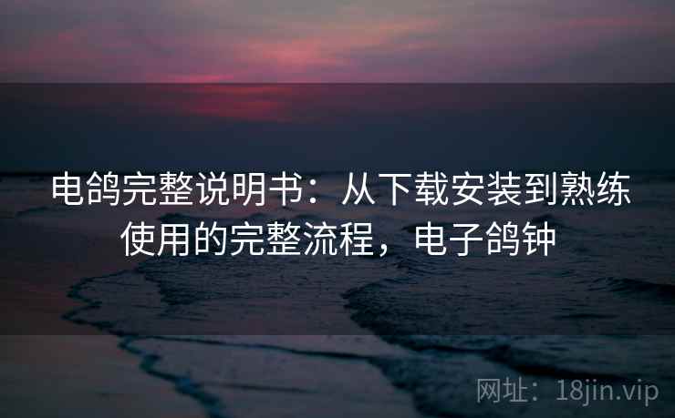 电鸽完整说明书：从下载安装到熟练使用的完整流程，电子鸽钟